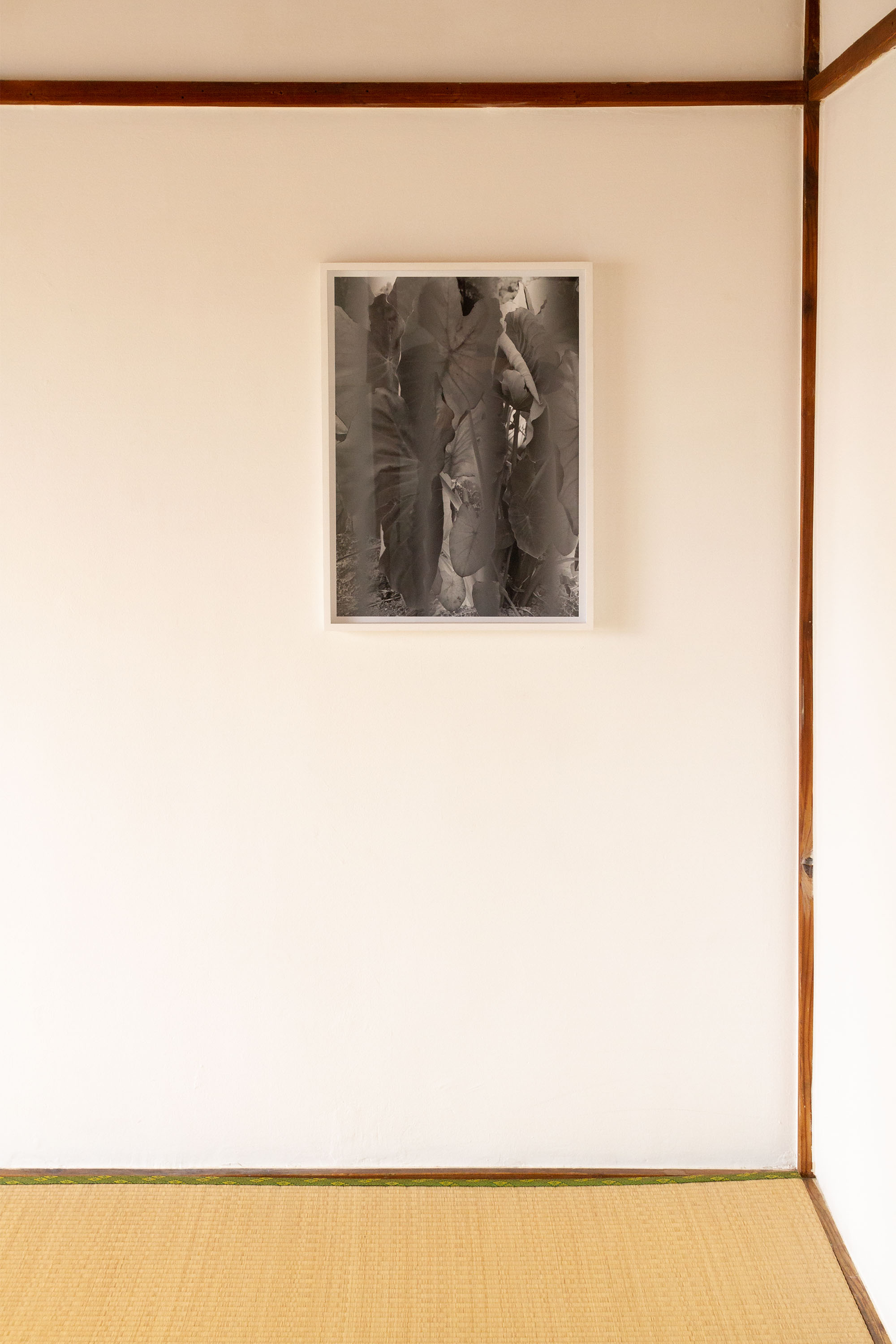 Soshi Matsunobe - Ghost of Copy (gray base #3), 2019, inkjet print (installation view)